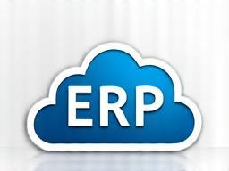 ERP systems service icon